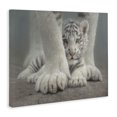 thumbnail image 3 of Stupell Industries Sheltered White Tiger Cub Canvas Wall Art design by Collin Bogle, 24 x 30, 3 of 7