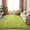 Grass Green, variant on Jakolive Fluffy Fuzzy Shaggy Area Rug,4x6 Modern Indoor Carpet for Living Room and Bedroom, Soft Underfoot with Non-Slip Backing,Durable and Easy to Maintain,Tie-Dyed Black Gray