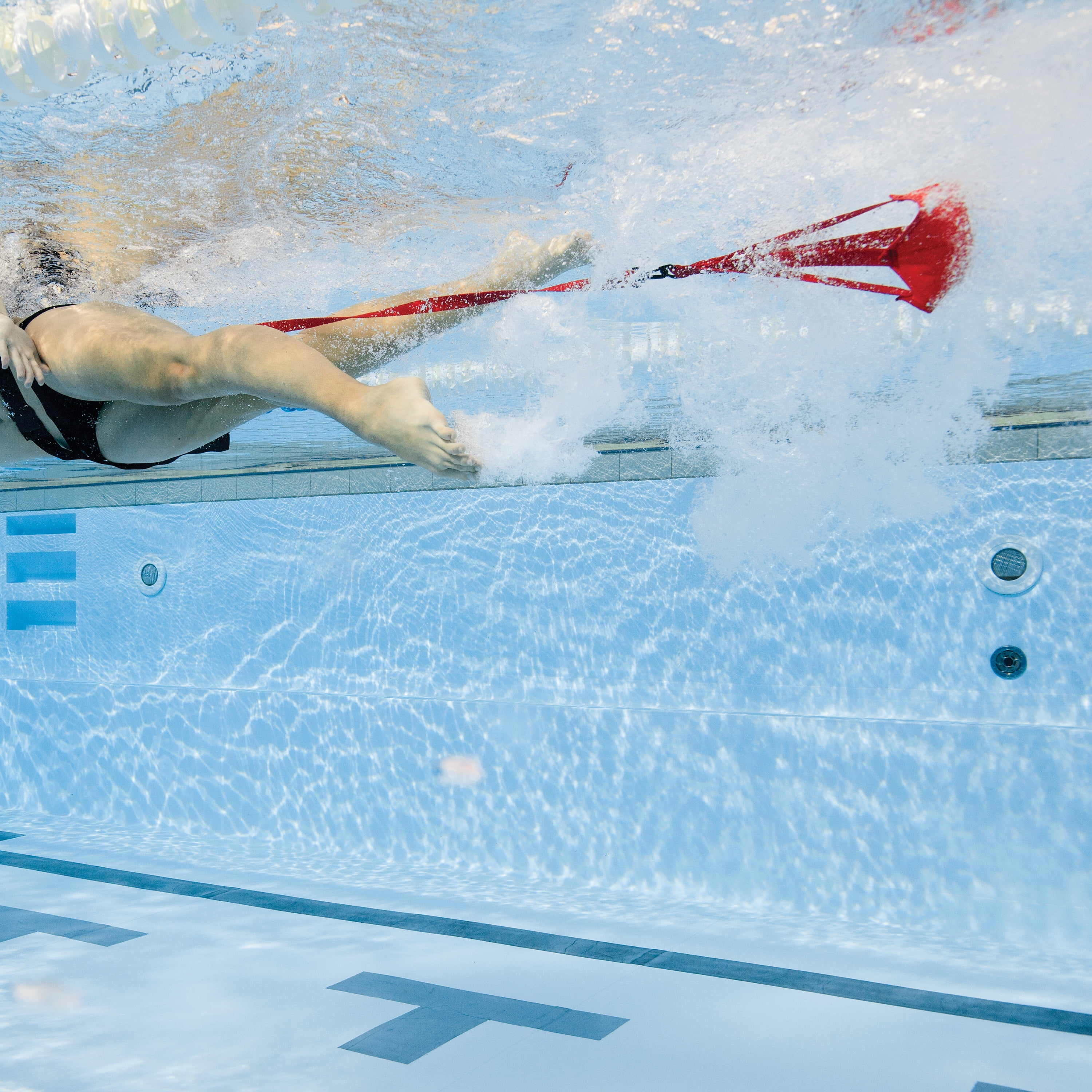 いラインアップ フィニス(Finis) 水泳 背泳ぎ 130031 練習用 バックストロークレッジ 練習用具