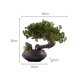 thumbnail image 2 of Plantas artificiales, bonsáis, decoración de escritorio, plantas artificiales de interior con macetas de cerámica, 2 of 5