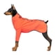 thumbnail image 1 of Chaqueta impermeable para perros, impermeable, reflectante, para exteriores, para perros pequeñ Romacci Abrigo al aire libre, 1 of 7