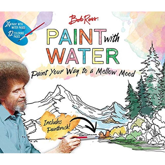Pre-Owned Bob Ross Paint with Water (Paperback) 1684129184 9781684129188