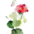 thumbnail image 2 of Loreth, Lanie 25x32 White Modern Wood Framed Museum Art Print Titled - Geranium II, 2 of 4