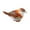 Light Brown, variant on Segolike Bird Trinket Box, Enamel Hinged Jewelry Box Parties Supplies with Lid Rings Holder Organizer Display for Girl Earring Wedding Blue