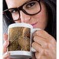 thumbnail image 2 of 3drose, Black-tailed Jackrabbit Wildlife, Arizona - Us03 Ska0043 - Steve Kazlowski, 11oz Magic Transforming Mug, 2 of 7