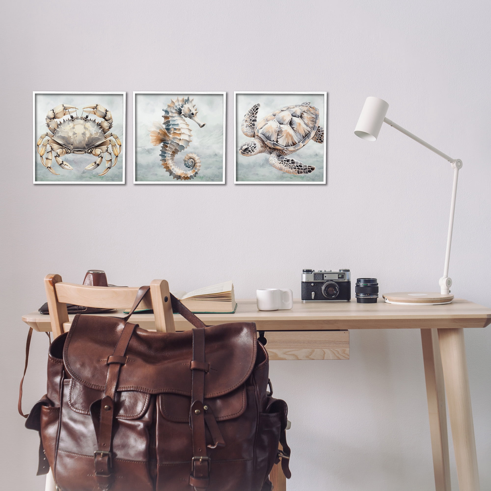 Stupell Industries Traditional Marine Life Animals & Insects Painting White Framed Art Print Wall Art, 12 x 12, Set of 3