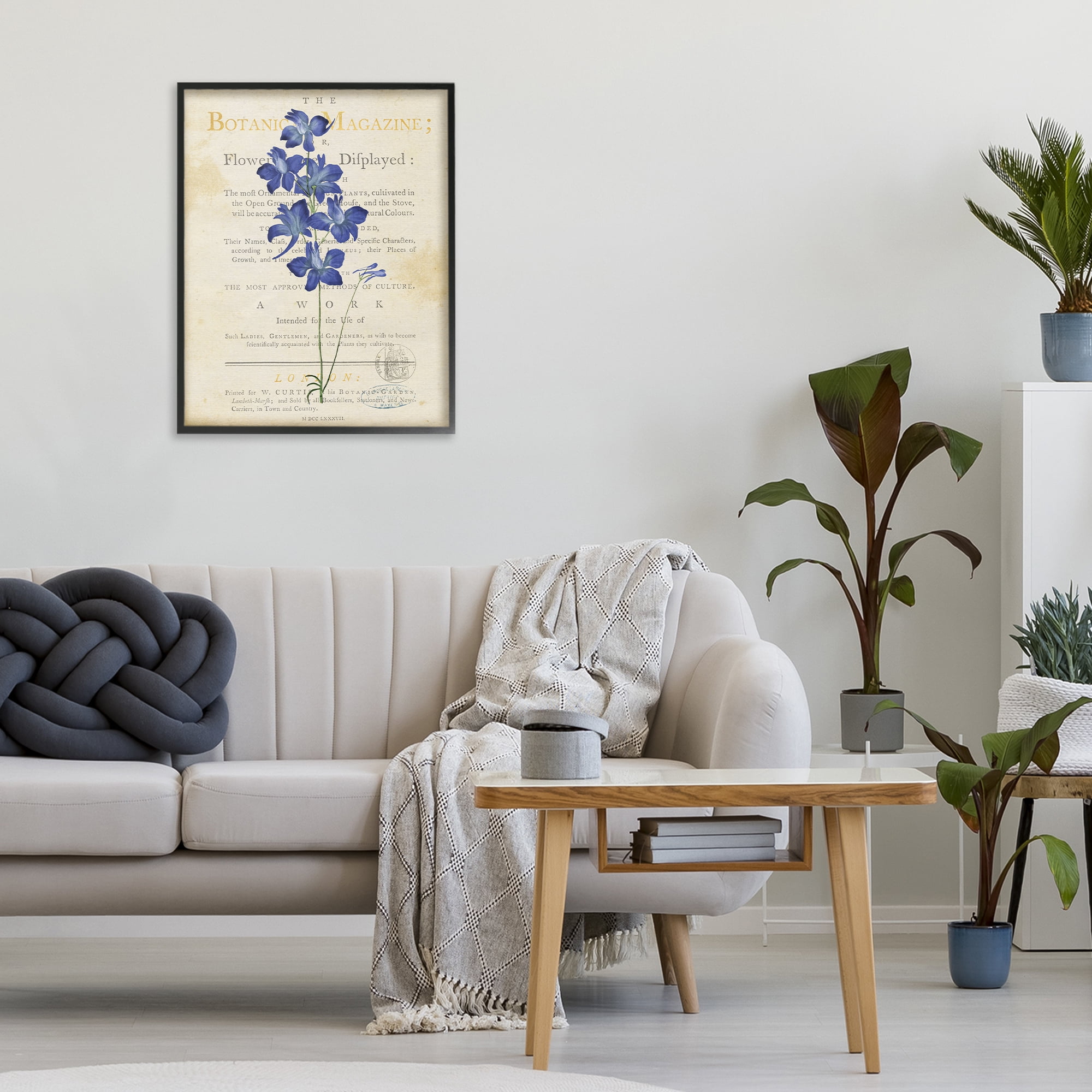 Stupell Industries Natural Botanic Garden Flower Black Framed Giclee Art, design by Susan Arnot