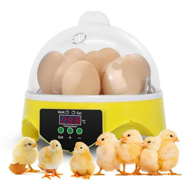 Digital Egg Incubator, 7 Eggs Fully Automatic Poultry Hatcher Machine