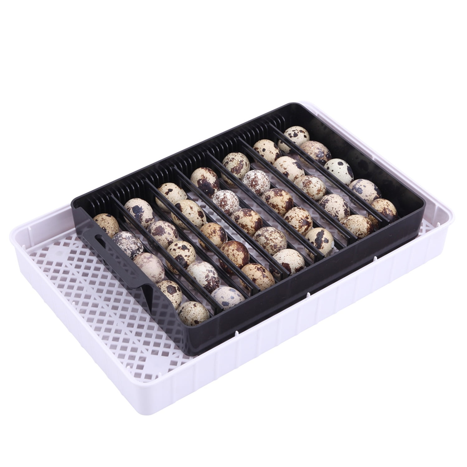 Canddidliike Egg Incubator, 12 Eggs Fully Automatic Digital Poultry Hatcher Machine Breeder with LED Candler Canddidliike Egg Incubator, 12 Eggs Fully Automatic Digital Poultry Hatcher Machine Breeder with LED Candler