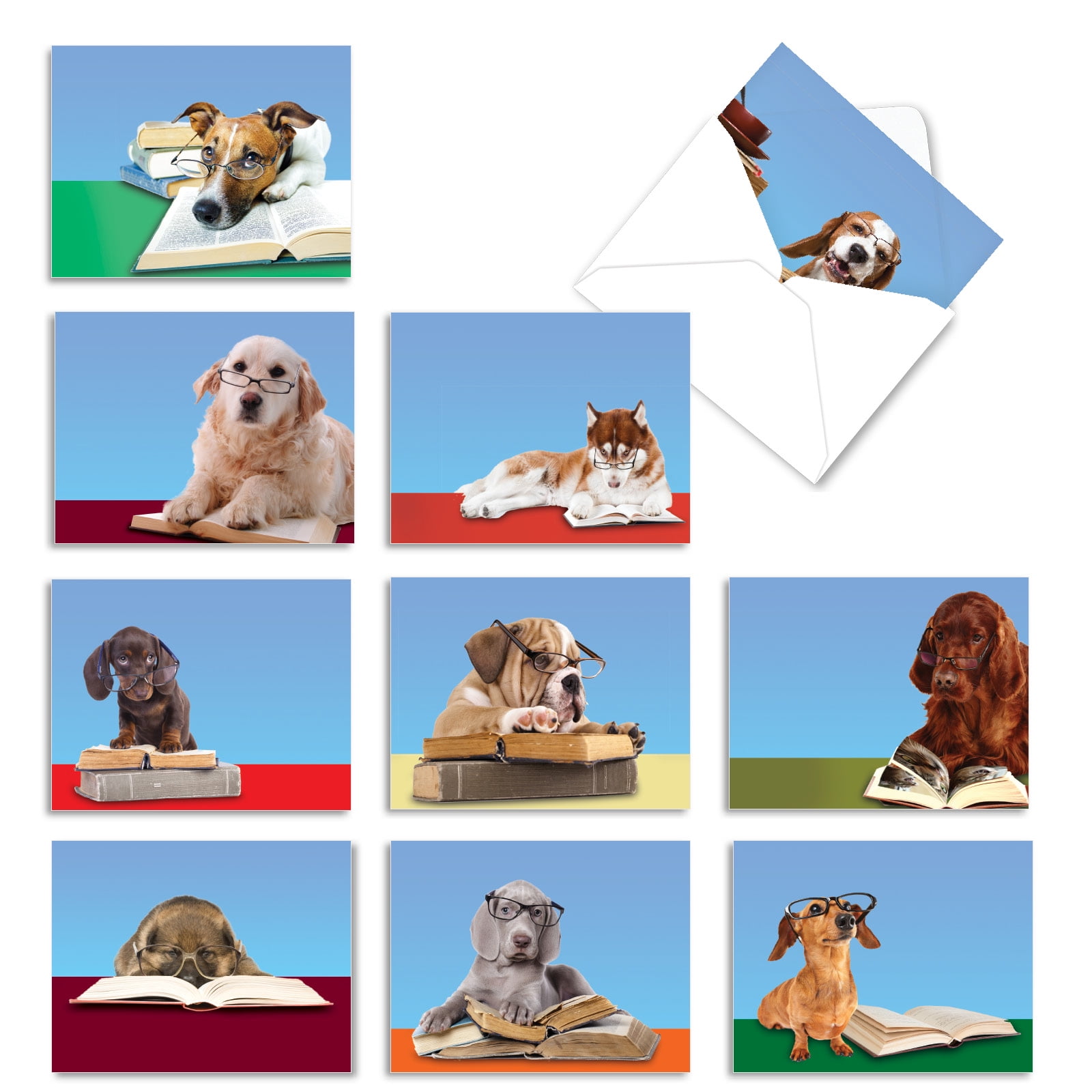 Punch Studio E1 Uptown Dogs Pouch 10 Blank Note Cards 46871 