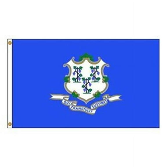 Annin Flagmakers  4 ft. X 6 ft. Nyl-Glo Connecticut Flag