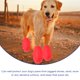 thumbnail image 4 of 4 fundas impermeables para zapatos de lluvia, antideslizantes, para exteriores, duraderas, para mascotas, gatos y perros (rojas, talla L), 4 of 8