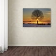 thumbnail image 2 of Trademark Fine Art 'Eye of the Tree' Canvas Art by Michael Blanchette Photography, 2 of 2