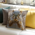 thumbnail image 3 of FCXZI Funny Squirrel Indoor Decoration Pillow Case for Sofa Couch 24x24in, 3 of 5