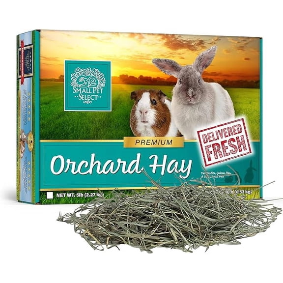 Small Pet Select Orchard Grass Hay Pet Food for Rabbits, Guinea Pigs, Chinchillas and Other Small Animals, Premium Natural Hay Grown in The US, 5 LB