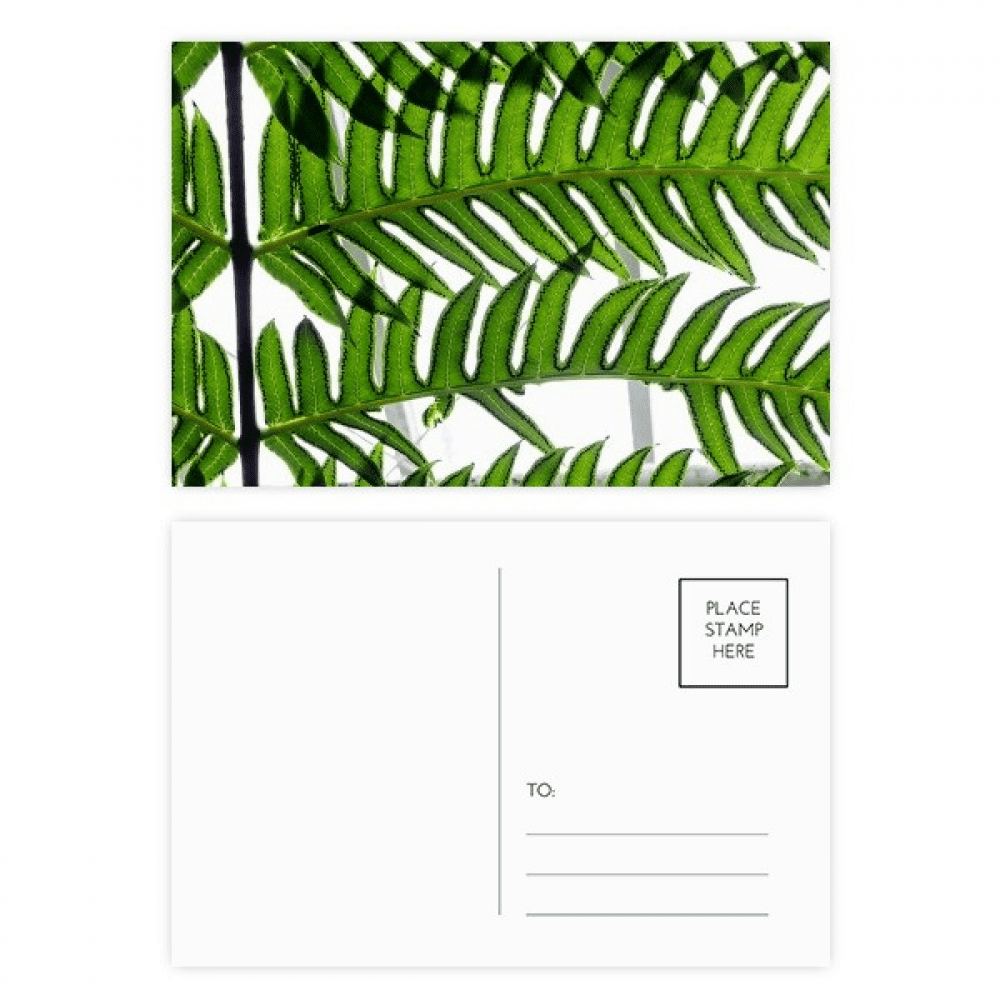 fresh picture nature postcard set birthday mailing thanks greeting card