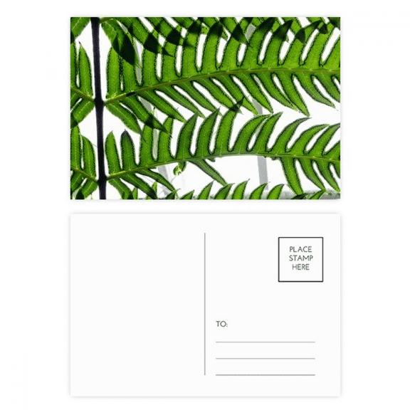 fresh picture nature postcard set birthday mailing thanks greeting card