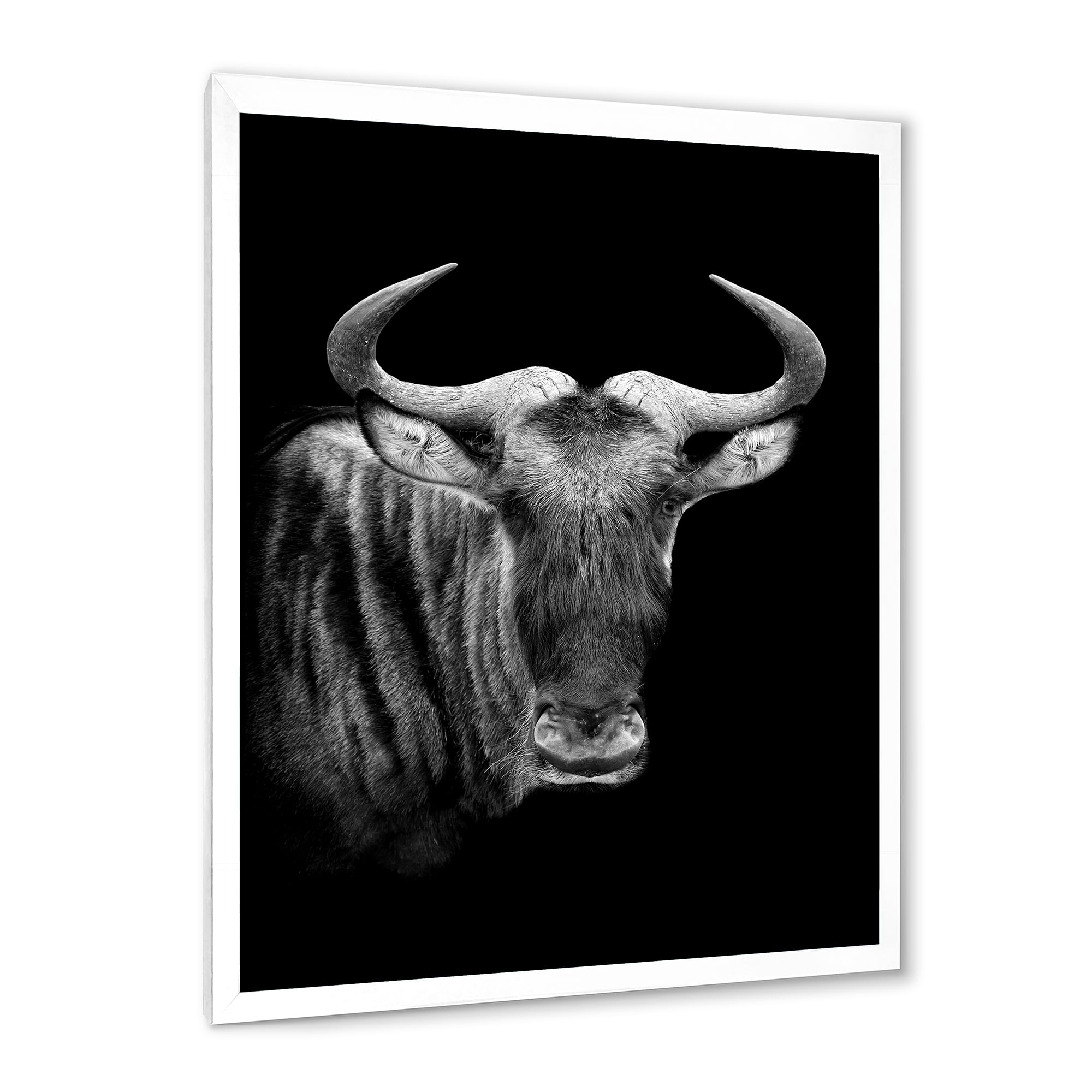 Designart 'Black and White Portrait Of Wildebeest' Farmhouse Framed Art Print