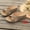 Khaki, variant on Womens Slip On Slide Criss Cross Fashion Platform Open Toe Comfort Sandals Khaki 9(42)