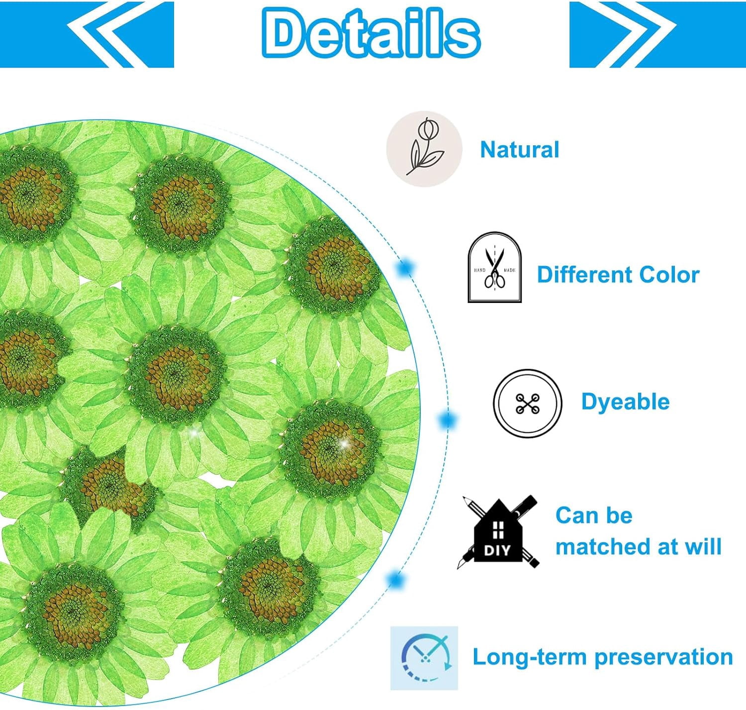 Dalrosia 48PCS Dried Daisy Flower, Vacuum Packaging, Pressed Flower for House Decoration, Jewelry Making, Phone case Decoration