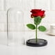 thumbnail image 3 of Ounissouiy Flor de rosa eterna, pantalla de cristal, belleza, lámpara LED con batería, boda, cumpleaños, decoración de fiesta de San Valentín Iluminación navideña Ounissouiy HA021815-00, 3 of 6