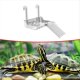 thumbnail image 1 of Nueva Plataforma para Tanque de Tortugas Plataforma para el Descanso de Reptiles Acuáticos Muelle para Tanque de Tortugas Terraza Transparente para el Descanso de Tortugas, 1 of 5