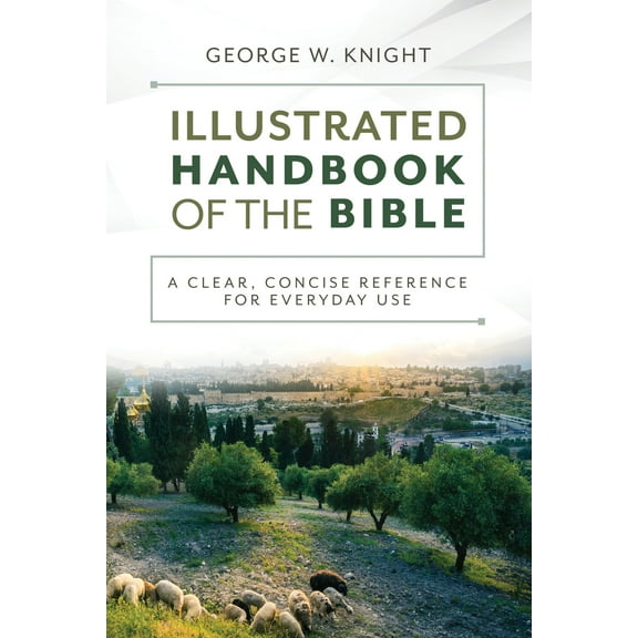 Pre-Owned The Illustrated Handbook of the Bible: A Clear, Concise Reference for Everyday Use (Paperback) 1636096824 9781636096827