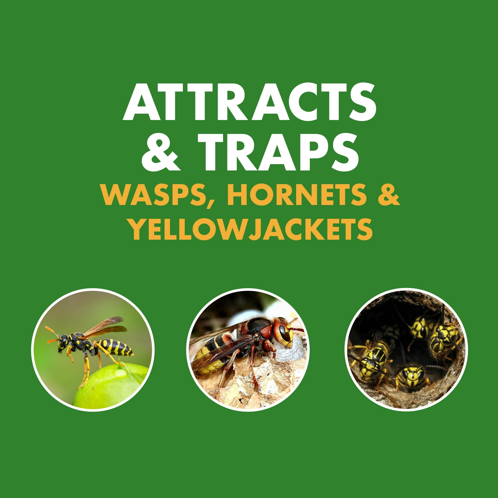 Spectracide Wasp, Hornet and Yellowjacket Trap, Quick-Drown Formula, 1 Count - 2 Box