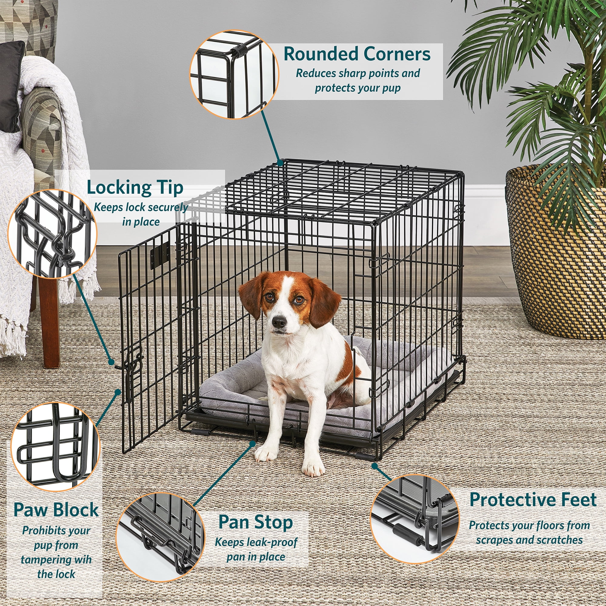 MidWest Homes for Pets 24-Inch LifeStages Crate for Small Breeds, 12-20 lbs, Single Door Folding Dog Crate with Divider Panel, Leak-Proof Tray & Secure Latch, Heavy-Duty & Easy to Assemble