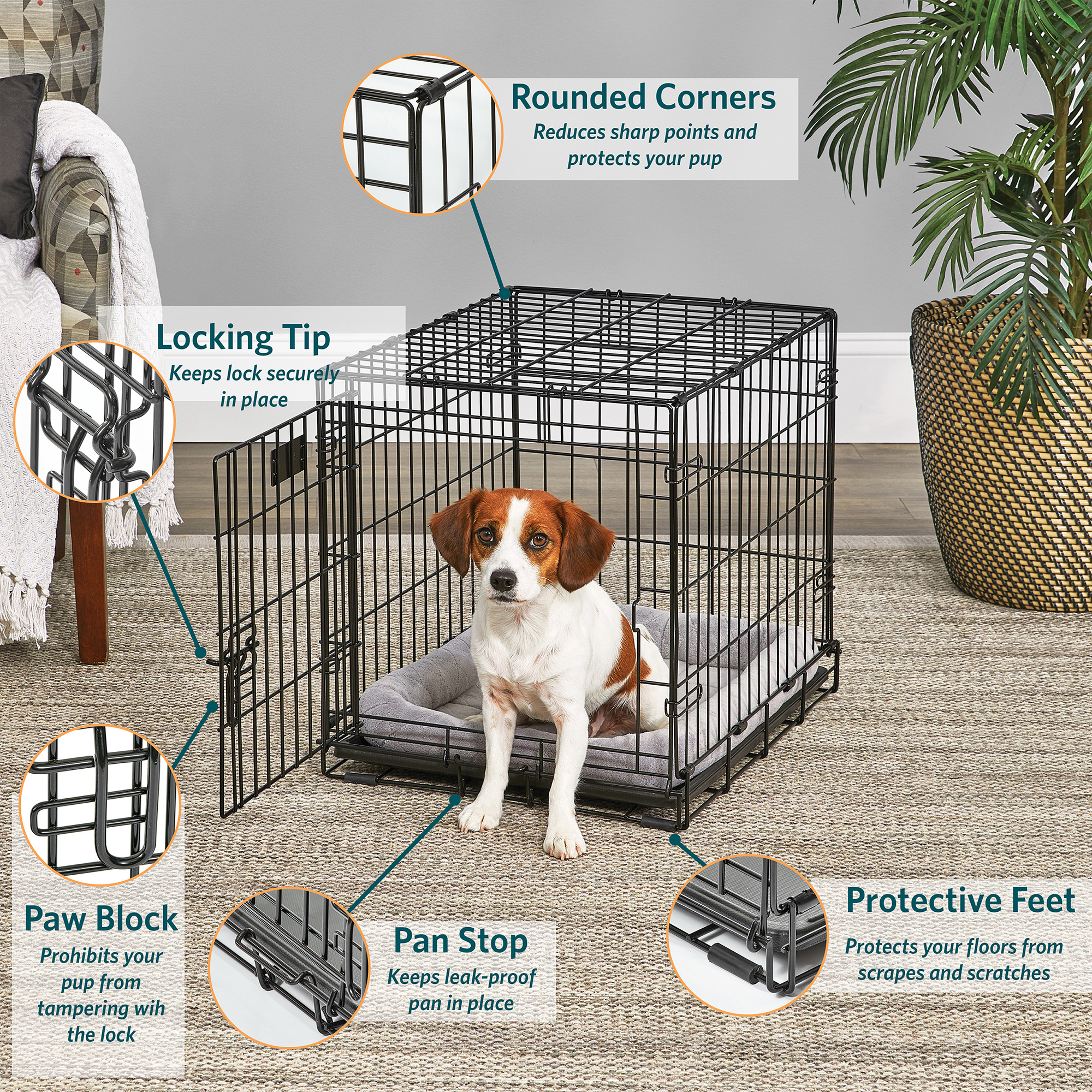 MidWest LifeStages 24" Dog Crate, Single Door photo 4