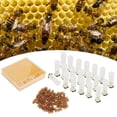 thumbnail image 2 of CHICIRIS Bee Breeding Box,Queen Bee Rearing Box Cage Plastic Breeding Cell Cup Kit Beekeeping Equipments Supplies,Beekeeping Tools, 2 of 9