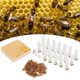 thumbnail image 5 of Queen Bee Cage Durable Mini Queen Bee Cell Cup For Beekeeping Home ANGGREK Otros, 5 of 8