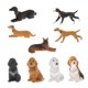 thumbnail image 1 of 9 Piezas 1:64 Escala Modelo Pintado a Mano Pequeño Perro Animal Modelo Adornos Sunnimix Muñeca de personas de modelos en miniatura, 1 of 8
