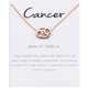 thumbnail image 1 of Collar del zodiaco Qarigey AP009338-19, 1 of 6