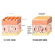thumbnail image 3 of Péptido, hidratante y reponedor de arrugas 30 ml, 3 of 4