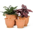 thumbnail image 4 of Abbott Collection Home Medium Round Ruffled Planter, 4 of 4