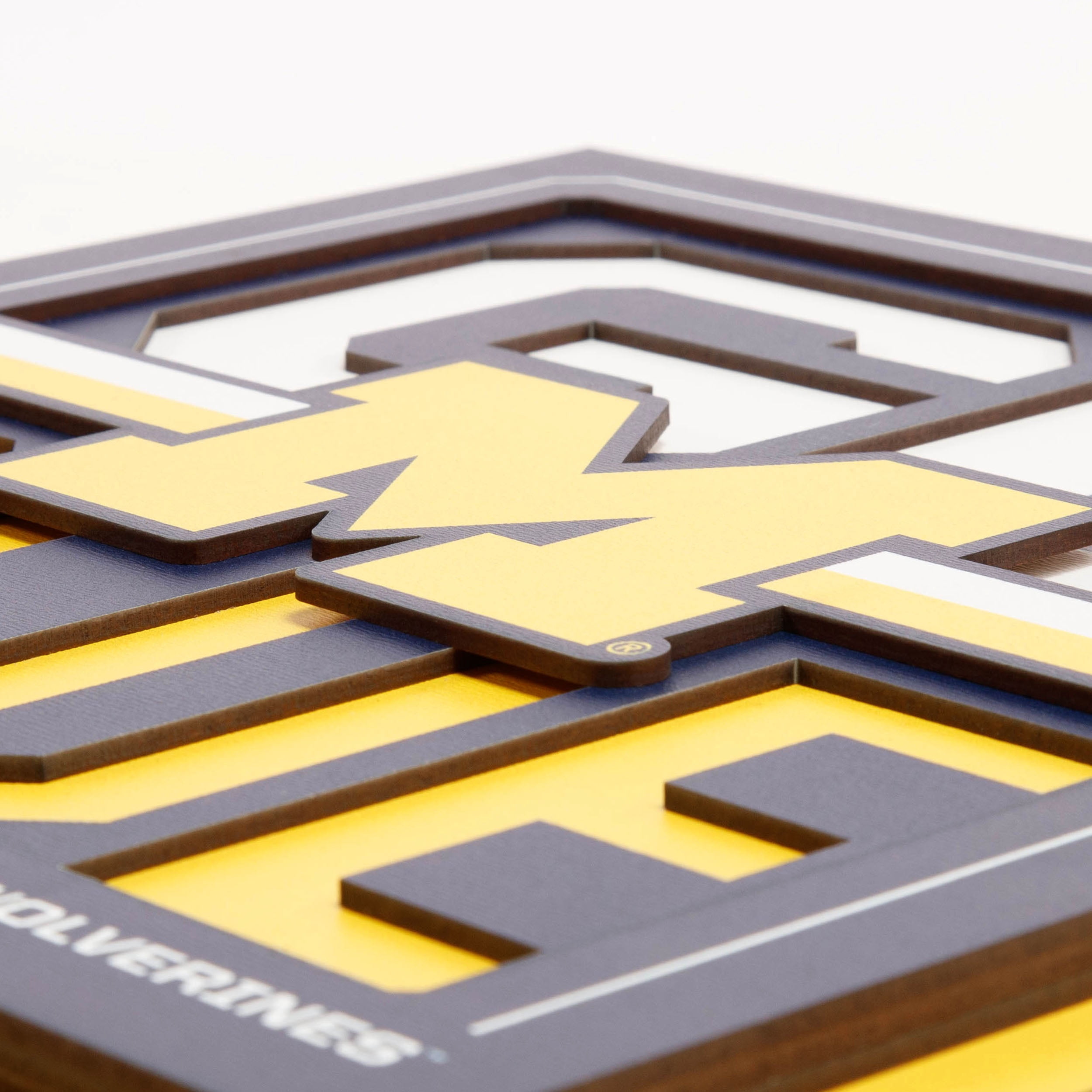 IDNA Michigan Wolverines 12" x 12" Slogan Series 3D Wall Art