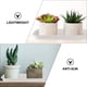 thumbnail image 4 of 3 bandejas de plástico para macetas, útiles para jardinería, bases para macetas, bandejas multiusos, 4 of 8