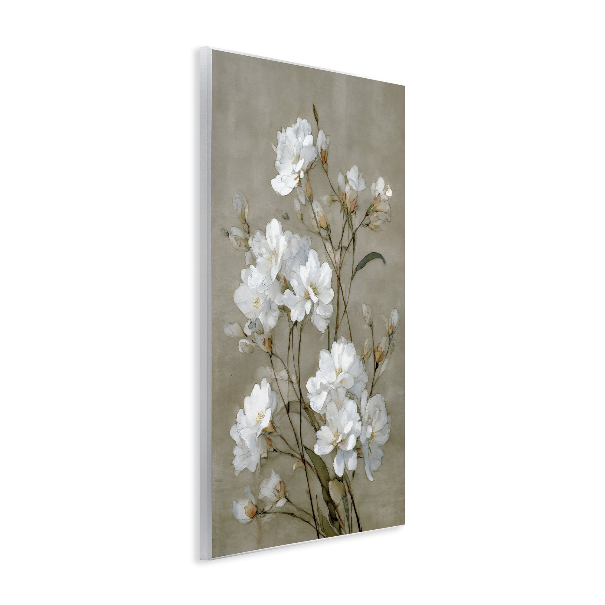 Stupell Industries Aged White Botanical Study Wall Plaque Art, design by Petal Prints Design