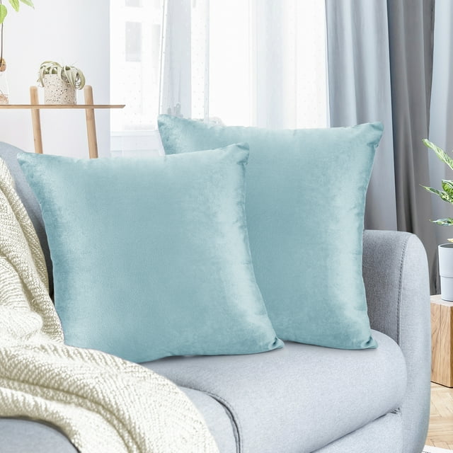 Lot de 2 Housses de Coussin en Velours Décoratives, Douces, Carrées, 20 Pouces x 20 Pouces