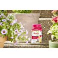 thumbnail image 2 of Osmocote Smart-Release Plant Food Plus Outdoor & Indoor, 1 lb., 2 of 5