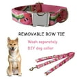 thumbnail image 5 of Conjunto de cinturón y bufanda con cuello para perro, color sandía, adecuado para entrenamiento al aire libre para perros y gatos de tamaño mediano, 5 of 5