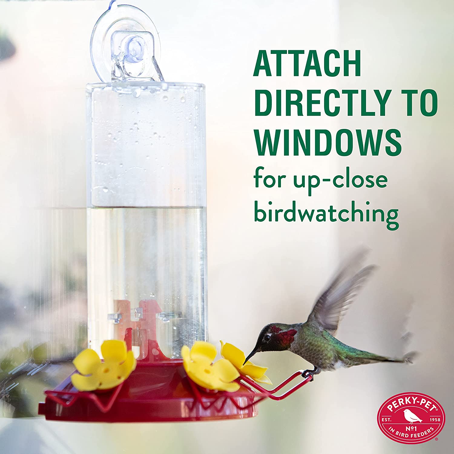 Plastic Window Mount Hummingbird Feeder with Perches - 8 oz Hummingbird Nectar Capacity, 217 - Hummingbirds feeders for Outdoors, (Pack of 2)