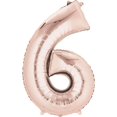 thumbnail image 1 of SUPERSHAPE 6 ROSEG - FRENCH, 1 of 1