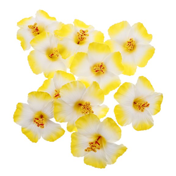 10 Pcs Hawaiian Hair Flower Hibiscus Artificial Flowers Banquet