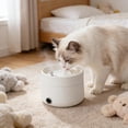 thumbnail image 2 of Sentmoon Dog Bowl Dog Food Bowl Pet Yogurt Maker Pussy and Dog Constant Temperature Water Dispenser Food Dryer Stainless Steel Pussy Bowl Adjustable Temperature Control Foolproof To Clean, 2 of 7