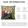 thumbnail image 5 of GOSMITH  Throw Pillow Cover Red Panda Lesser Panda Red Bear-Cat Red Cat-Bear 1, 5 of 5