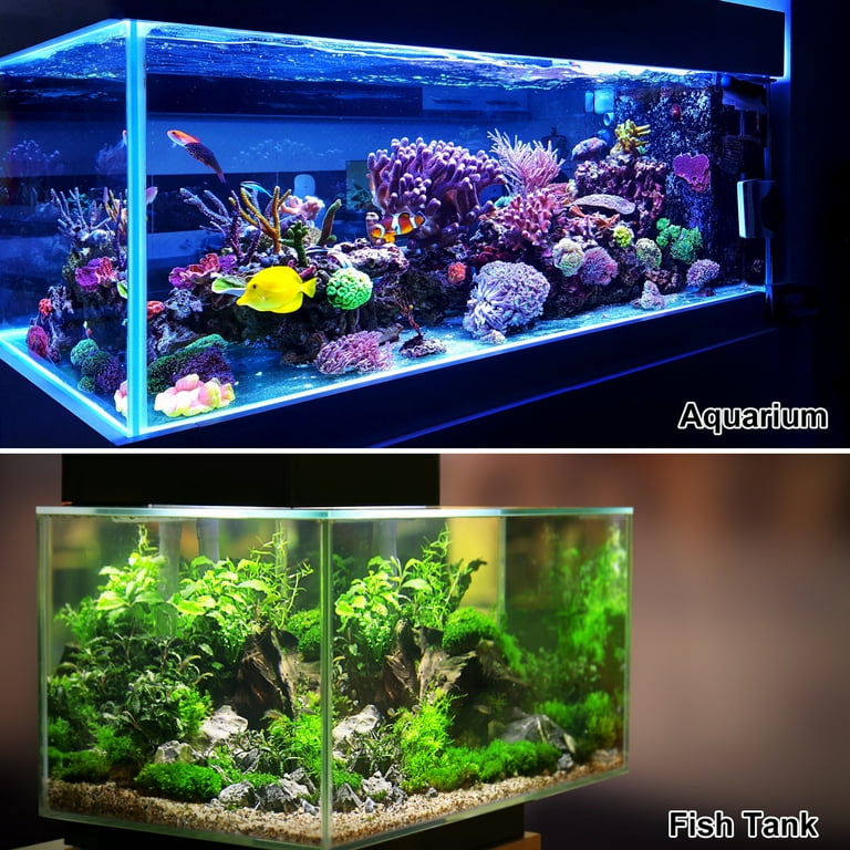 2 Pack Artificial White Coral Ornament Resin Coral Tabletop Decorations for  Aquarium Fish Tank Decor : : Pet Supplies