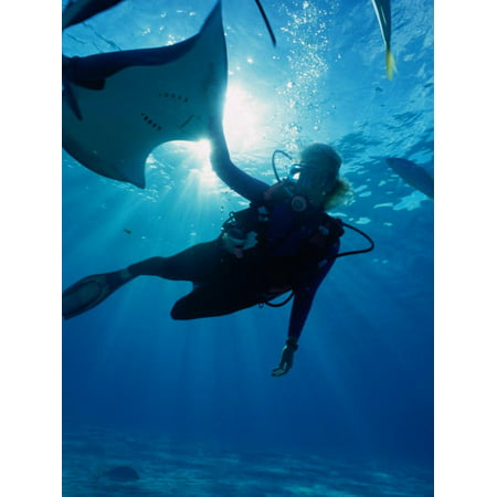 Diving at Stingray City on Grand Cayman, Grand Cayman, Grand Cayman, Cayman Islands Print Wall Art By Greg