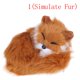 thumbnail image 1 of Mini animales duros, modelo de simulación de piel real, zorro, conejo, utilería de Popular, artesanía, decoración de escritorio para el hogar, juguete, regalo Fivean Peluches, 1 of 2